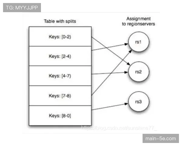 朴镇燮跑动覆盖与拦截数据亮眼 浙江队单后腰体系因他而稳固